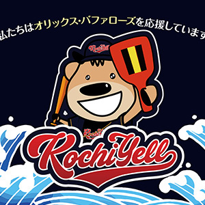 こうち応援隊様のキャラクター制作